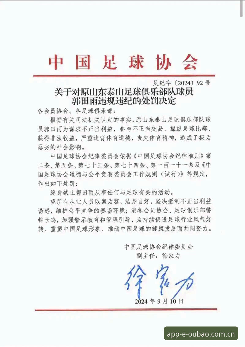 足球行业整顿深度解读：从禁足名单看中国足球新秩序